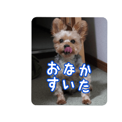 [LINEスタンプ] ラピスの日常②