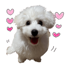 [LINEスタンプ] ハクの毎日3