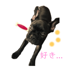 [LINEスタンプ] まいにちまる子