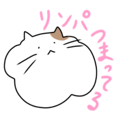 [LINEスタンプ] フリーダム猫 Part2