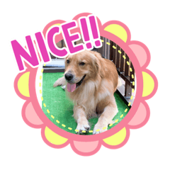 [LINEスタンプ] 愉快な怜央19