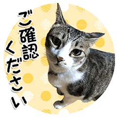 [LINEスタンプ] ちょこ＆あずき3（ぺとすた）