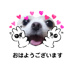 [LINEスタンプ] 可愛い可愛いマロンとルル