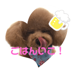 [LINEスタンプ] 小さいトイプードルマシューくん②