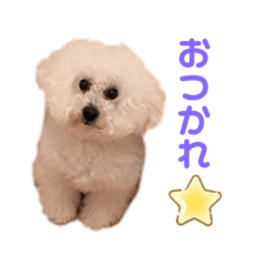 [LINEスタンプ] しばやまさんちのモコくん