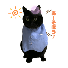 [LINEスタンプ] 毎日じじちゃん2