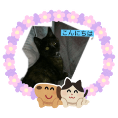 [LINEスタンプ] みぃこスタンプ2