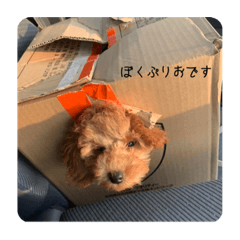 [LINEスタンプ] あみたぷりおさん