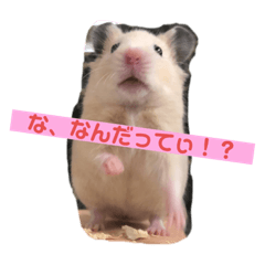 [LINEスタンプ] ぼくらの日常①