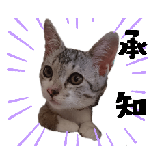 [LINEスタンプ] 犬猫86