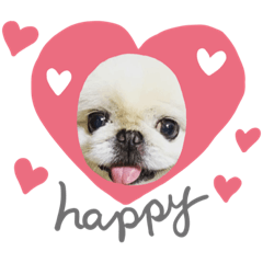 [LINEスタンプ] ゆじゅこの挨拶✩.*˚