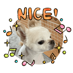 [LINEスタンプ] 我が家のキュートくん！ 5