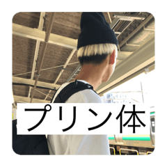 [LINEスタンプ] YAMANES LIFE DX