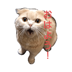 [LINEスタンプ] まろたのすたんぷ