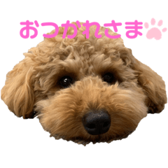[LINEスタンプ] ぶりんくん