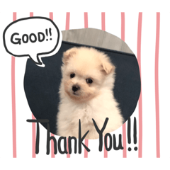 [LINEスタンプ] ♡オリ♡