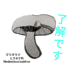[LINEスタンプ] 汎用茸型スタンプ・水墨茸四号