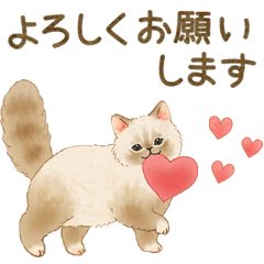 [LINEスタンプ] 使いやすい☆猫たちのスタンプ 4の画像（メイン）