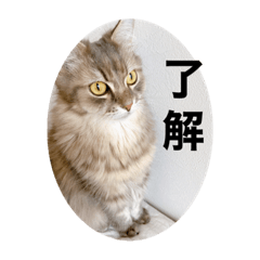 [LINEスタンプ] ポール＆マロン