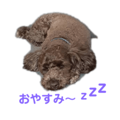 [LINEスタンプ] プー太郎の日常