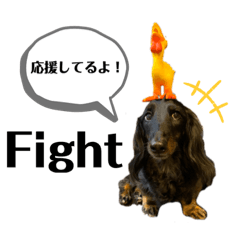 [LINEスタンプ] 名犬オルガ