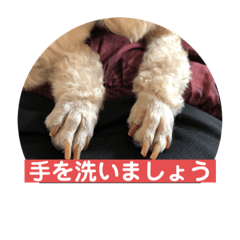 [LINEスタンプ] ももんがモコその3