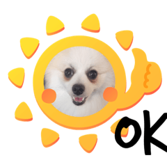 [LINEスタンプ] らぶちゃんスタンプ①