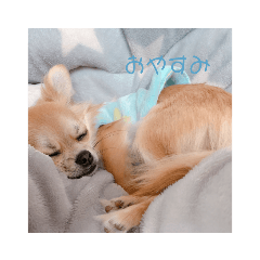 [LINEスタンプ] 天心スタンプ2