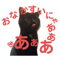 [LINEスタンプ] 黒猫ここちゃんの叫び