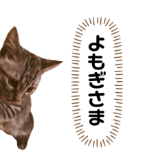 [LINEスタンプ] よもぎさま
