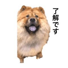 [LINEスタンプ] Lilo the Chow 2020