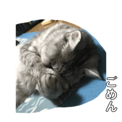 [LINEスタンプ] ほだ3