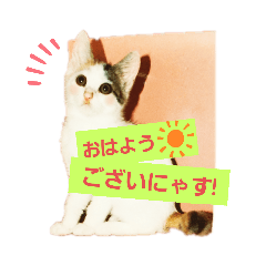 [LINEスタンプ] どらごくのスタンプ