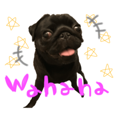 [LINEスタンプ] くまちゃん2