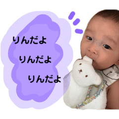 [LINEスタンプ] りんくんの毎日☆No.2