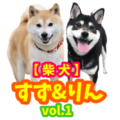 【柴犬】すず＆りん vol.1