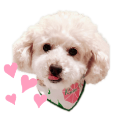 [LINEスタンプ] marron ...