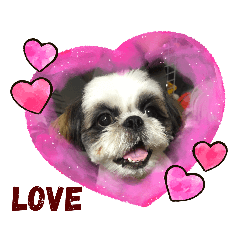 [LINEスタンプ] 我が家のシーズー犬もじゃ 15