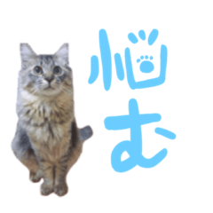 [LINEスタンプ] はっくん＆むたさん