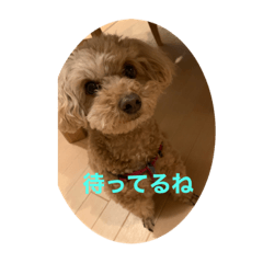 [LINEスタンプ] Lacoskeのデビュー作(笑)
