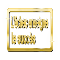 [LINEスタンプ] 大体：金146 ことわざ1/FR