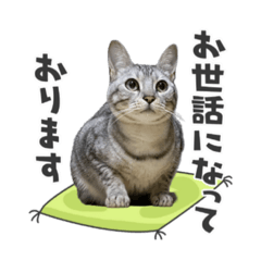 [LINEスタンプ] サクラちゃんすたんぷ