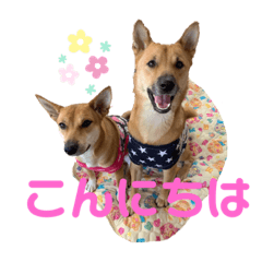 [LINEスタンプ] ずーきーときなちゃん