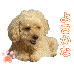 [LINEスタンプ] 我が家のふうあ大先生♡
