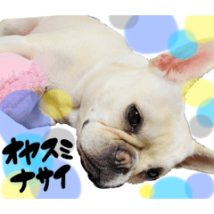 [LINEスタンプ] うちのきなこ！！！！