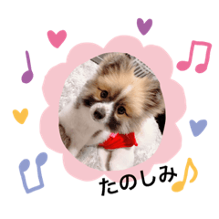 [LINEスタンプ] りおねねるいチップ2