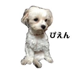 [LINEスタンプ] みるくとここ2
