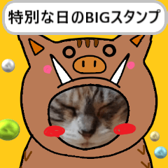 [LINEスタンプ] 特別な日に送るBIGスタンプ