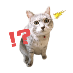 [LINEスタンプ] しのぶとこよみとするが