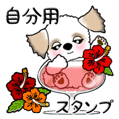 [LINEスタンプ] 【大きな文字】シーズー犬（自分用）